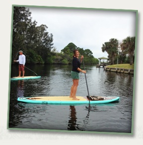 paddle board tour